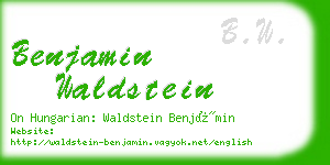 benjamin waldstein business card